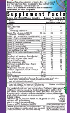 Фотография - Мультивітаміни для дітей Rainforest Animalz Whole Food Based Multiple Bluebonnet Nutrition виноград 90 таблеток