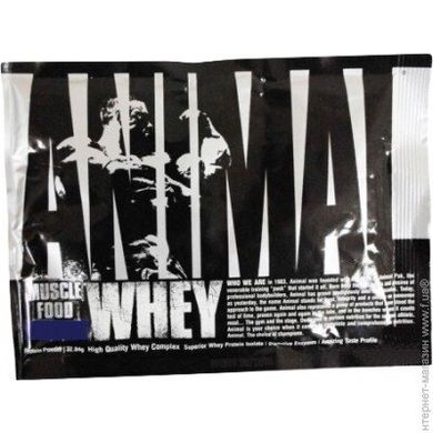 Фотография - Протеин Animal whey Animal Nutrition шоколад 32 г