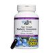 Концентрат черники Blueberry Concentrate Natural Factors 500 мг 90 капсул
