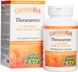Куркумин Curcumin Natural Factors 300 мг 60 капсул