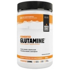 Глютамін Glutamine North Coast Naturals оригінальний смак 300 г
