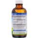 Витамин В6 пиридоксин Vitamin B6 Carlson Labs 120 мл