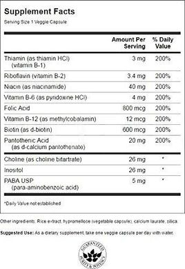 Комплекс витаминов В В-200 Balance Vitamin B-200 Swanson 100 капсул