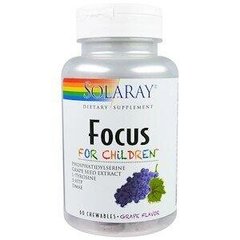 Фотография - Підтримка мозку дітини Focus For Children Solaray виноград 60 таблеток
