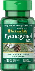 Пікногенол (кора сосни) Pycnogenol Puritan's Pride 60 мг 30 капсул