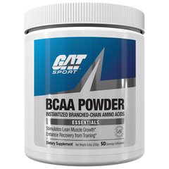 Амінокислота BCAA Powder Essentials GAT Sport 250 г
